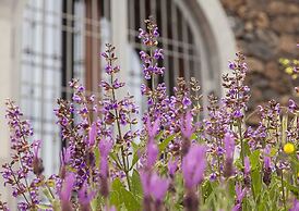 Etnella enoagriturismo Notti Stellate