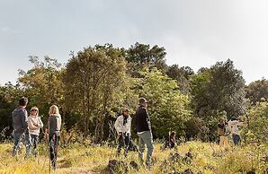 Etnella enoagriturismo Notti Stellate