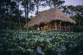 Blancaneaux Lodge by Francis Ford Coppola