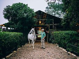 Blancaneaux Lodge by Francis Ford Coppola