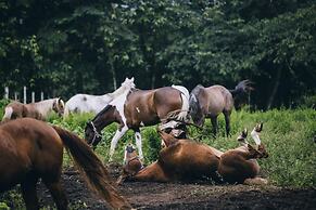 Blancaneaux Lodge by Francis Ford Coppola