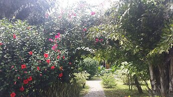 Cabanas los Colibris