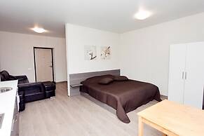 Apartament on Baumana Street