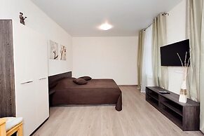 Apartament on Baumana Street