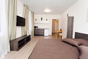 Apartament on Baumana Street