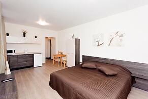 Apartament on Baumana Street