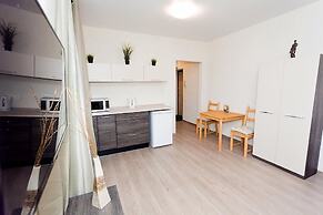 Apartament on Baumana Street