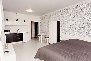 Apartament on Baumana Street