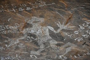 Explorer by Eco Team - Kumana National Park