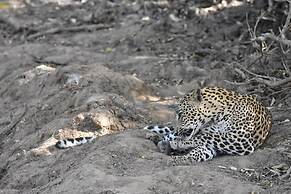 Explorer by Eco Team - Kumana National Park