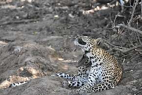 Explorer by Eco Team - Kumana National Park