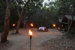 Explorer by Eco Team - Kumana National Park