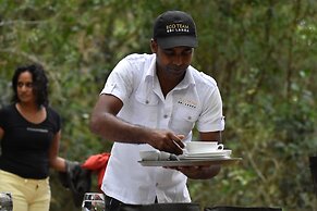 Explorer by Eco Team - Kumana National Park