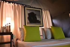 Explorer by Eco Team - Bundala