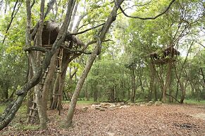 Explorer by eco team -Dambana