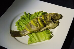 Explorer by eco team -Dambana