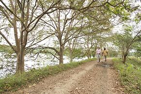 Explorer by eco team -Dambana