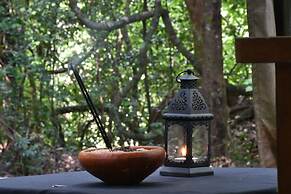 Explorer by Eco Team - Wasgamuwa National Park