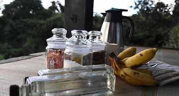 Explorer by Eco Team - Wasgamuwa National Park