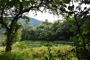 Explorer by Eco Team - Knuckles