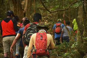 Explorer by Eco Team - Knuckles