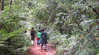 Explorer by Eco team - Sinharaja