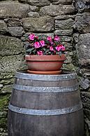 Albergue San Lázaro - Hostel