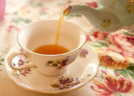 The Inn at 97 Winder