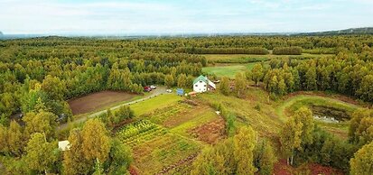 Falcon's Nest Bed & Breakfast