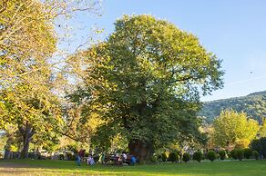 Villa Kirkpinar Sapanca