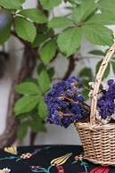 Kalinda Bozcaada (Adult Only)