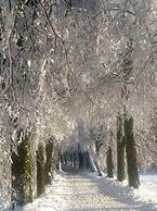 Ferienwohnungen mit Schwimmbad