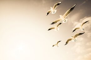 DOCK INN Hostel Warnemünde