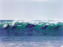 Diaz 15 House on the Bay