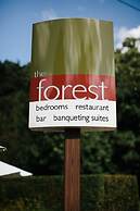 The Forest Hotel