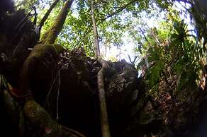 Ecolodge Las Nubes Chiapas