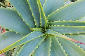 Little Rock Guest House