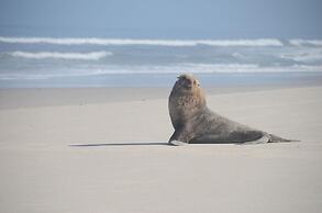 West Coast Luxury Tents- Glamping