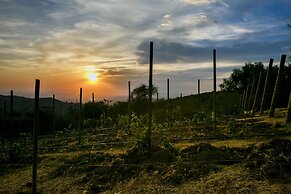 Hotel Camino de Vinos