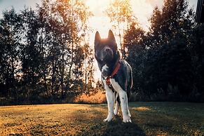 Joe Getaway - Stugby Ullared