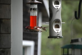 Clary Lake Bed and Breakfast