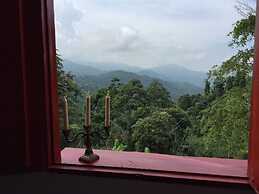 Finca Cafetera San Rafael