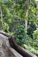 Finca Cafetera San Rafael