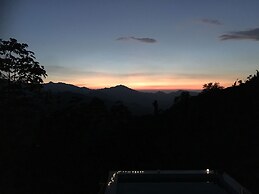 Finca Cafetera San Rafael