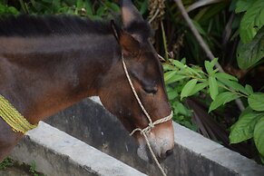 Finca Cafetera San Rafael