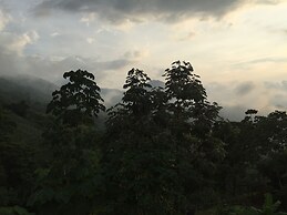 Finca Cafetera San Rafael