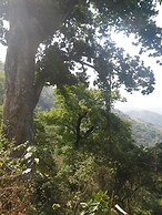 Finca Cafetera San Rafael