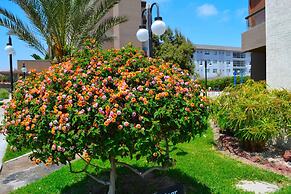 Apartamentos Alma Socoroma