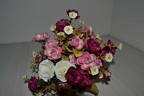 Apartamentos Alma Surire