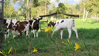 Eco Hotel La Cabaña